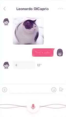 实时发货可靠的Web漏洞扫描工具